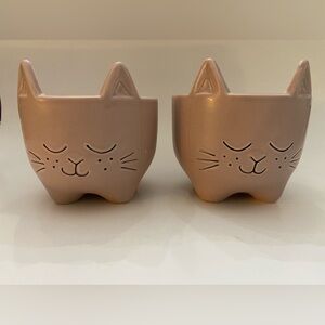 Ceramic Cat Planters